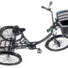 Tricicleta pentru adulti Leader Fox Bormio - negru